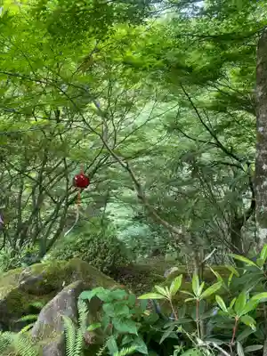 徳善院明王密寺(福島県)