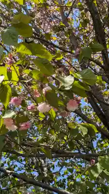東大寺 指図堂(奈良県)