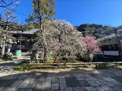 常立寺(神奈川県)