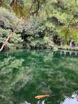 涌釜神社(栃木県)