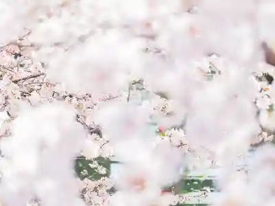 長建寺(京都府)