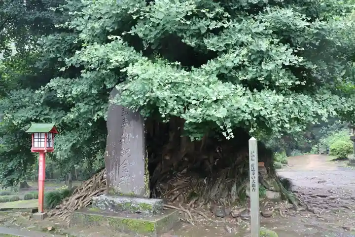 正法寺のその他建物