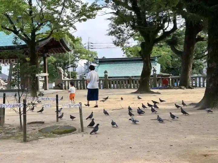 忌宮神社の動物