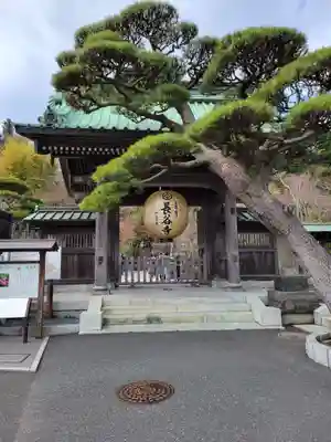 長谷寺の山門・神門