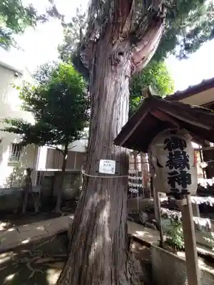 御嶽神社の自然