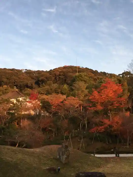 高台寺(高台寿聖禅寺・高臺寺)(京都府)