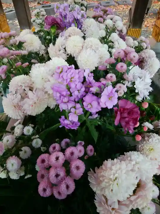 彌彦神社 (伊夜日子神社)の手水舎