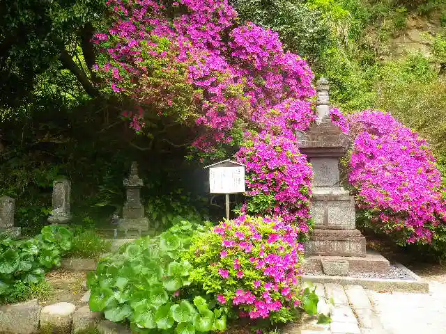 安養院 (田代寺)のその他建物