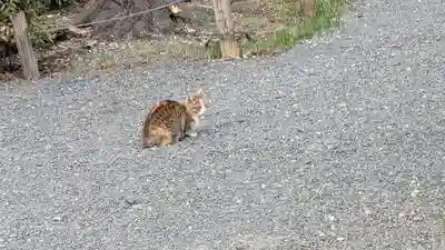 榮春禅寺（栄春寺）(京都府)