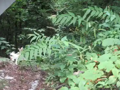 胡四王神社(岩手県)
