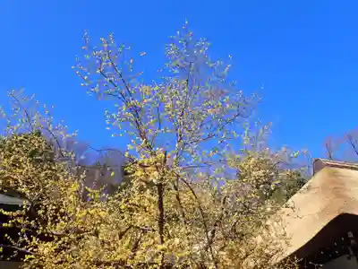 横浜　西方寺(神奈川県)