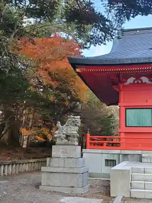 赤城神社の狛犬