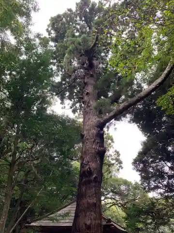 八幡神社(千葉県)