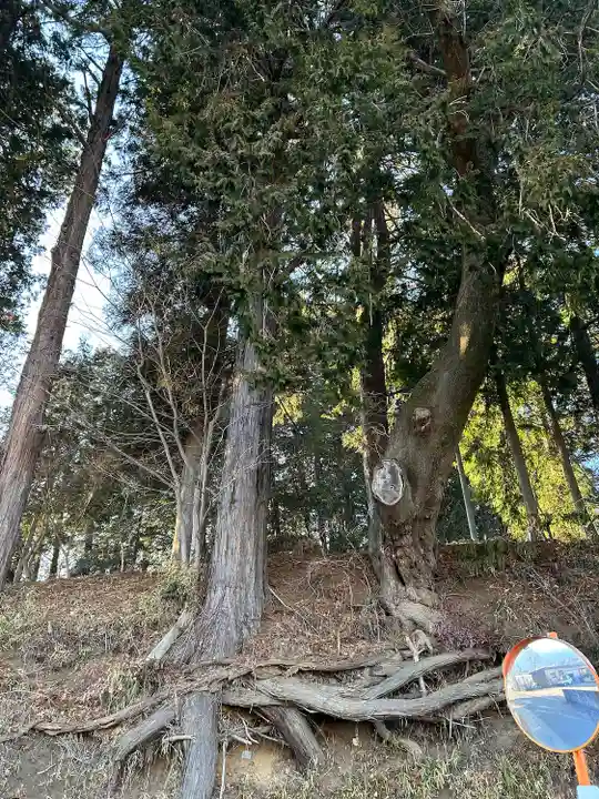 若宮八幡神社(山梨県)