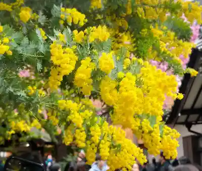 蔵前神社(東京都)