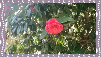 千代ケ岡八幡宮(栃木県)