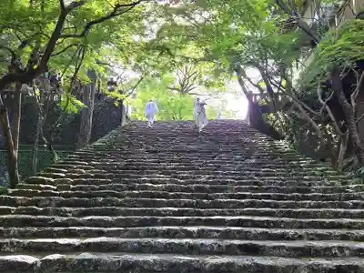 竹林寺(高知県)
