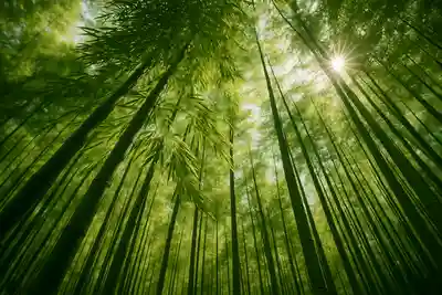 木舟山　順教寺(広島県)