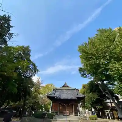 舎人氷川神社の本殿・本堂
