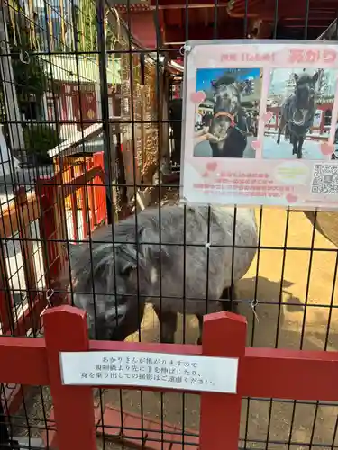 神田神社（神田明神）(東京都)