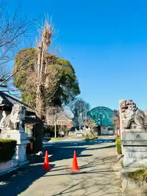 永光寺(牡丹不動尊) (茨城県)