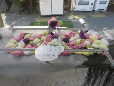 武州柿生琴平神社(神奈川県)