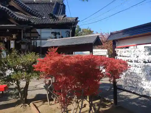 本折日吉神社の庭園