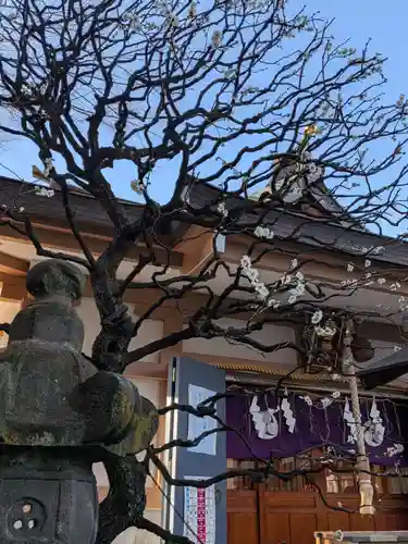 穏田神社(東京都)