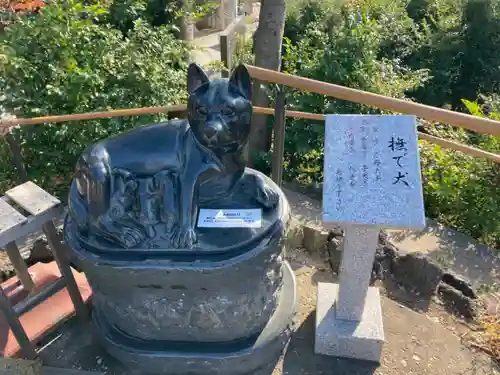 鎮守氷川神社の狛犬