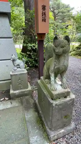 金澤神社の狛犬