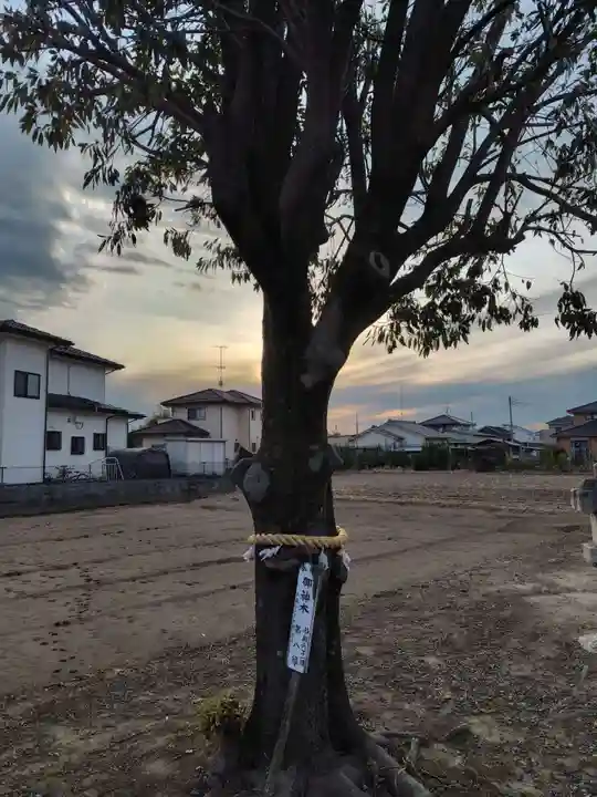 女体神社(埼玉県)