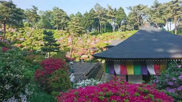 塩船観音寺の景色