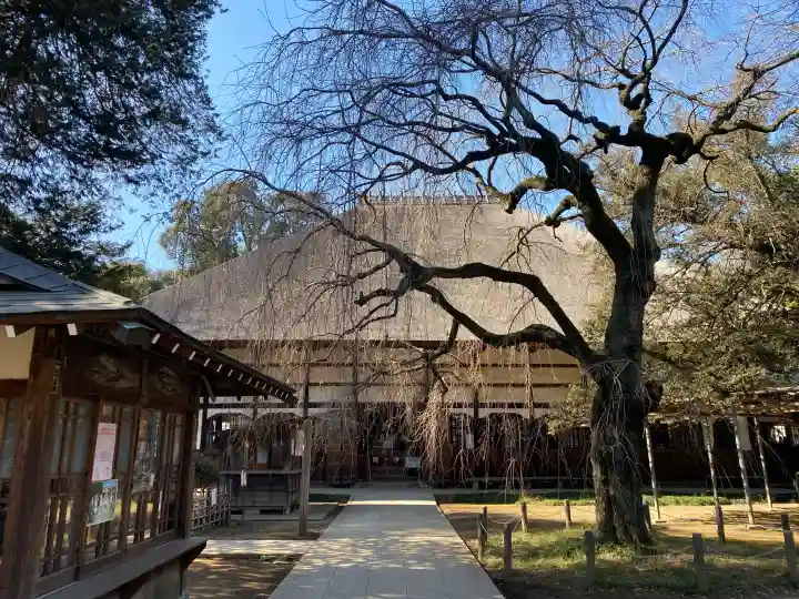 茂林寺の{uncategorized: "未分類", other: "その他", undefined: "問題あり", building: "その他建物", grave: "お墓", sacred_gate: "鳥居", guardian: "狛犬", statue: "像", buddha: "仏像", history: "歴史", nature: "自然", garden: "庭園", animal: "動物", pagoda: "塔", temizu: "手水舎", mountain_gate: "山門・神門", sanctuary: "本殿・本堂", subordinate: "末社・摂社", art: "芸術", scenery: "景色", jizo: "地蔵", ema: "絵馬", goshuin: "御朱印", omikuji: "おみくじ", items: "授与品その他", amulet: "お守り", goshuincho: "御朱印帳", eats: "食事", festival: "お祭り", votive_dance: "神楽", shichigosan: "七五三参", wedding: "結婚式", experience: "体験その他", initially: "初詣", around: "周辺", anti_infection: "感染症対策"}