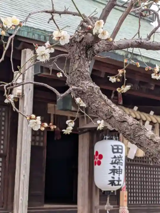 田端神社(東京都)