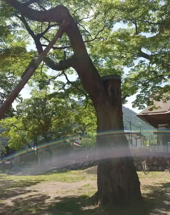 加茂神社(長野県)