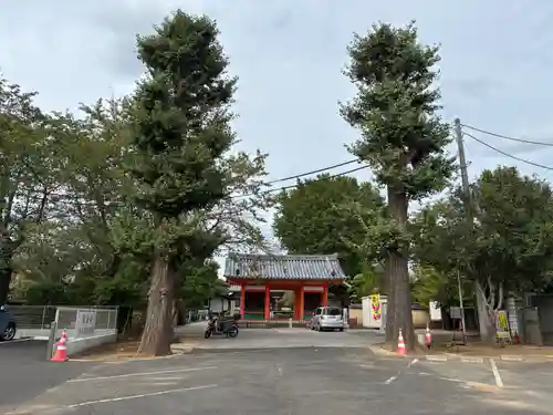 國分寺(千葉県)