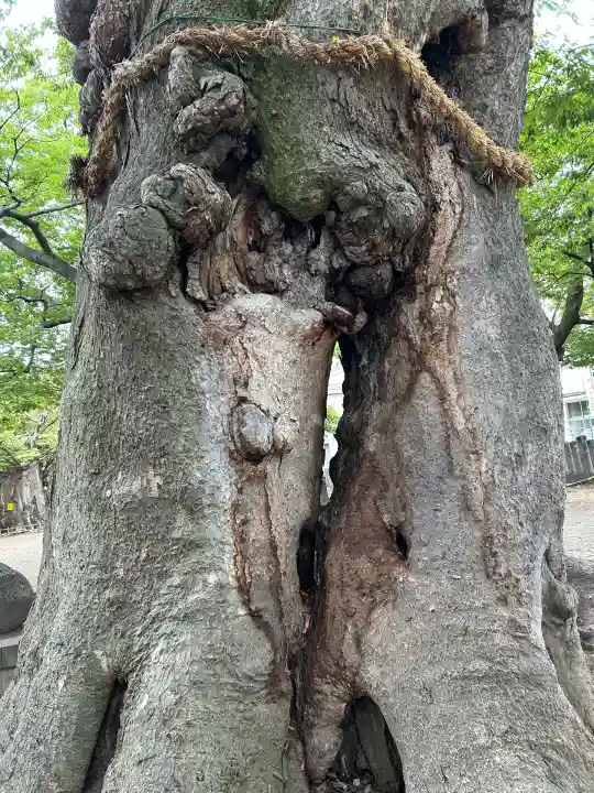 美和神社(長野県)