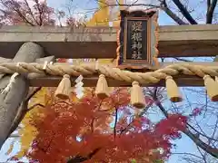 堤根神社の鳥居