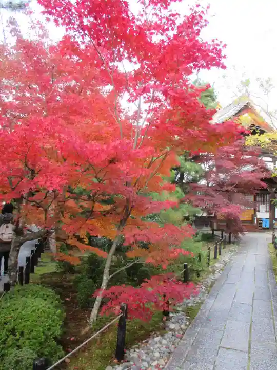 清凉寺(京都府)