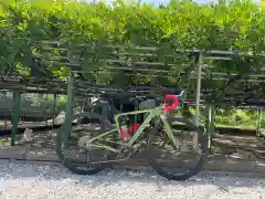 西寒多神社の自然