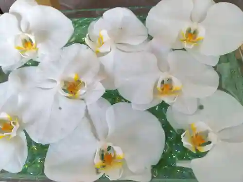 瑞玄寺の手水舎