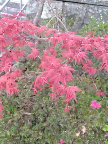 疋野神社(熊本県)