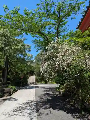高幡不動尊　金剛寺(東京都)