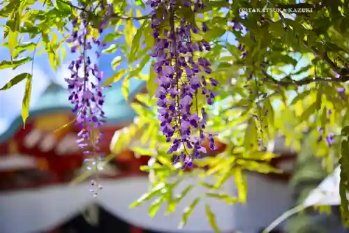 日枝神社(東京都)