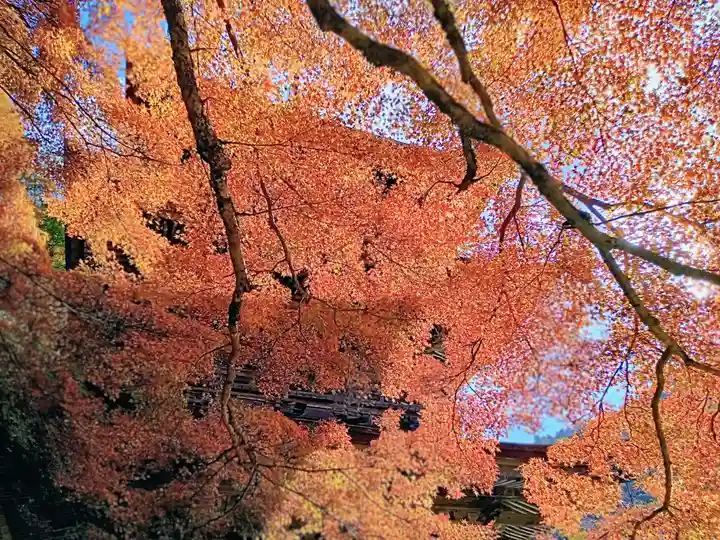 金剛院(京都府)