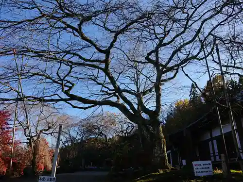 宝積山光前寺の自然