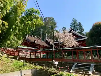 志波彦神社・鹽竈神社(宮城県)