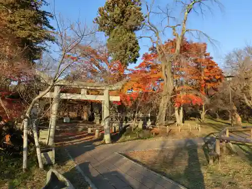 新城藤原神社の鳥居