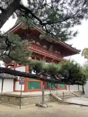 葛井寺の山門