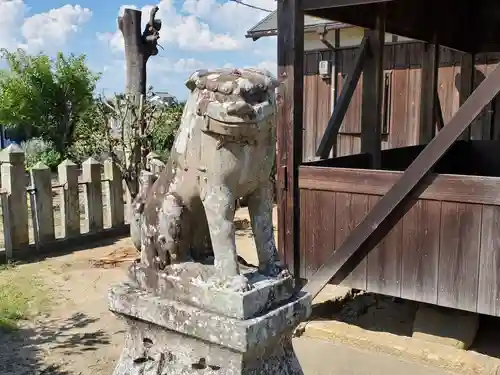 五社大神社の狛犬